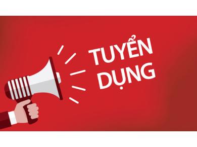 TT Transport Tuyển Dụng - Cơ Hội Gia Nhập Đội Ngũ Vận Tải Chuy&ecirc;n Nghiệp