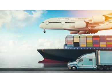 Dịch vụ khai b&aacute;o hải quan chuy&ecirc;n nghiệp từ TT Transport
